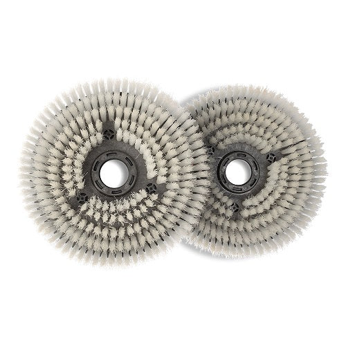 Numatic 220mm 244 Nyloscrub Brushes (Pack of 2)