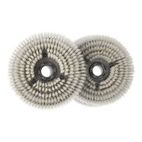 Numatic 220mm 244 Nyloscrub Brushes (Pack of 2)